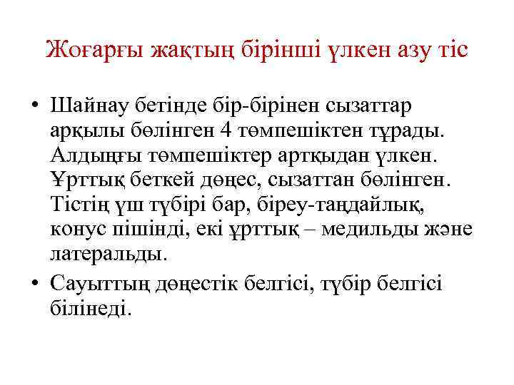 Жоғарғы жақтың бірінші үлкен азу тіс • Шайнау бетінде бір-бірінен сызаттар арқылы бөлінген 4