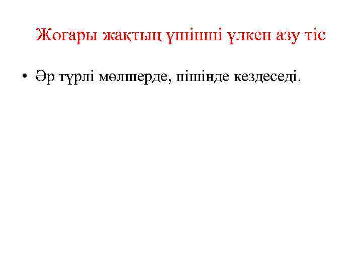 Жоғары жақтың үшінші үлкен азу тіс • Әр түрлі мөлшерде, пішінде кездеседі. 