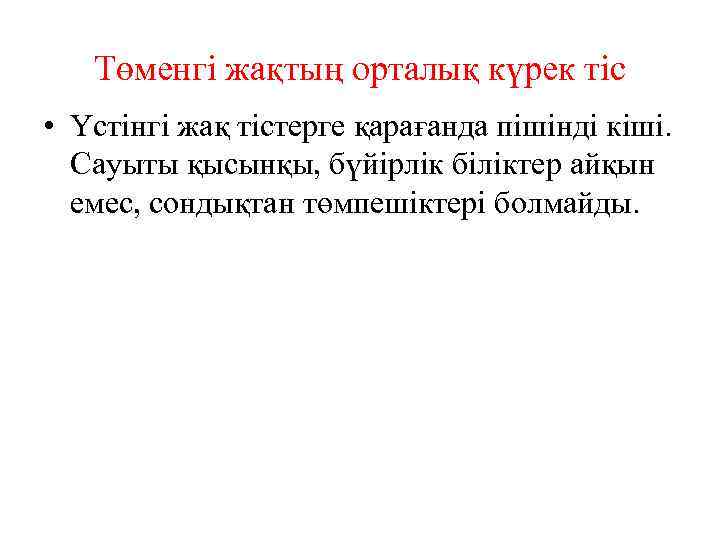 Төменгі жақтың орталық күрек тіс • Үстінгі жақ тістерге қарағанда пішінді кіші. Сауыты қысынқы,