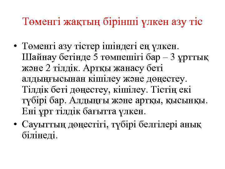 Төменгі жақтың бірінші үлкен азу тіс • Төменгі азу тістер ішіндегі ең үлкен. Шайнау