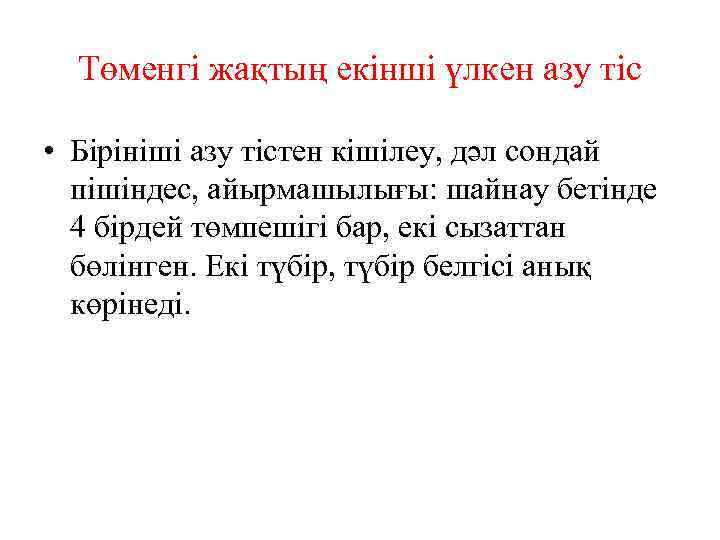 Төменгі жақтың екінші үлкен азу тіс • Бірініші азу тістен кішілеу, дәл сондай пішіндес,