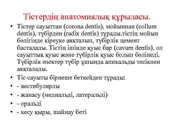 Тістердің анатомиялық құрыласы. • Тістер сауыттан (corona dentis), мойыннан (collum dentis), түбірден (radix dentis)