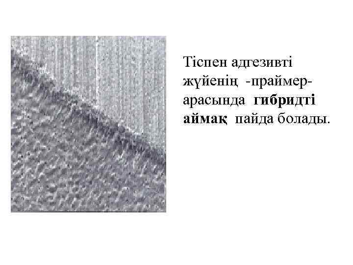 Тіспен адгезивті жүйенің -праймерарасында гибридті аймақ пайда болады. 