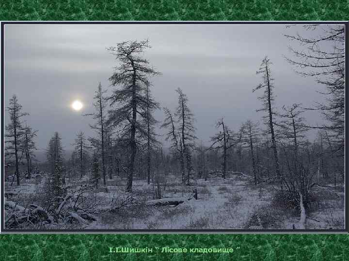 І. І. Шишкін “ Лісове кладовище ” 