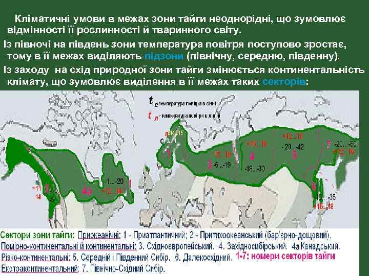Кліматичні умови в межах зони тайги неоднорідні, що зумовлює відмінності її рослинності й тваринного