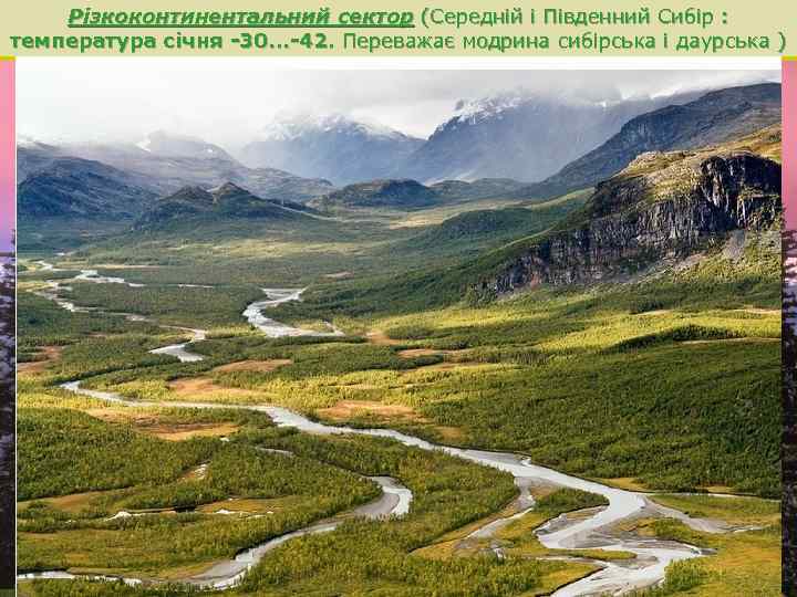 Різкоконтинентальний сектор (Середній і Південний Сибір : температура січня -30. . . -42. Переважає