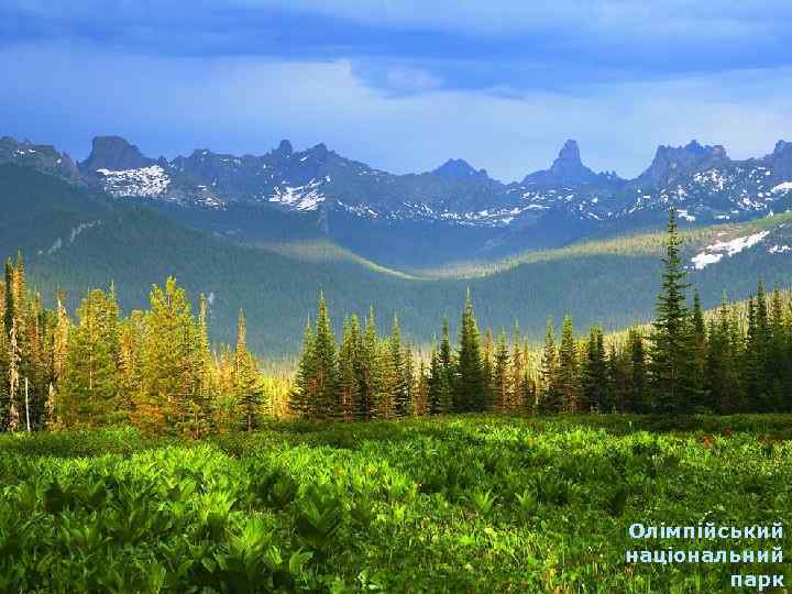 Олімпійський національний парк 