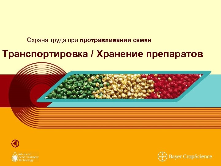 Охрана труда при протравливании семян Транспортировка / Хранение препаратов 