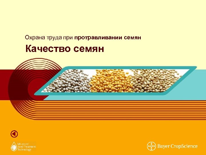 Охрана труда при протравливании семян Качество семян 