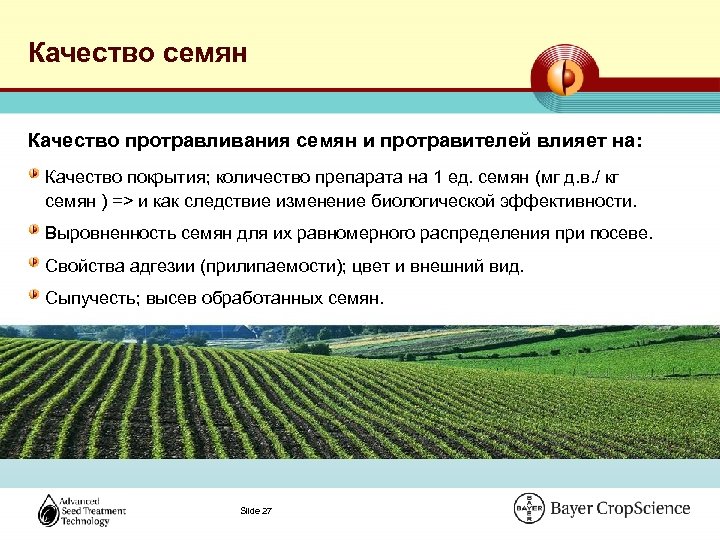 Качество семян Качество протравливания семян и протравителей влияет на: Качество покрытия; количество препарата на