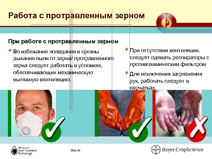Работа с протравленным зерном При работе с протравленным зерном Во избежание попадания в органы