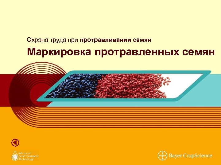 Охрана труда при протравливании семян Маркировка протравленных семян 
