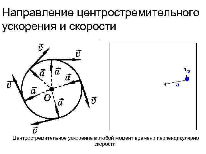 Направление центростремительного ускорения и скорости Центростремительное ускорение в любой момент времени перпендикулярно скорости 