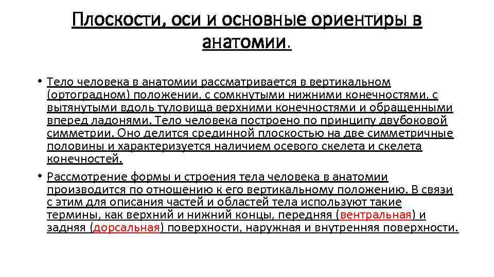 Плоскости, оси и основные ориентиры в анатомии. • Тело человека в анатомии рассматривается в