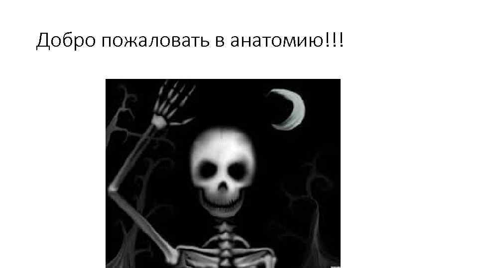 Добро пожаловать в анатомию!!! 