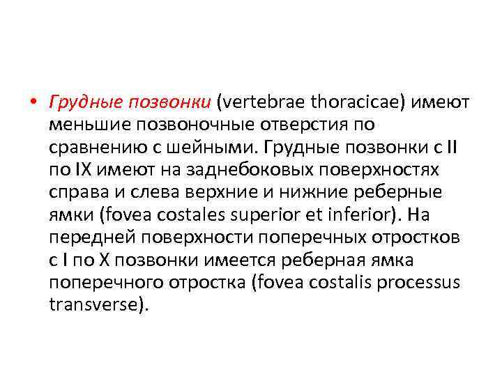  • Грудные позвонки (vertebrae thoracicae) имеют меньшие позвоночные отверстия по сравнению с шейными.