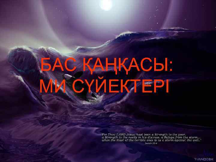 БАС ҚАҢҚАСЫ: МИ СҮЙЕКТЕРІ: 