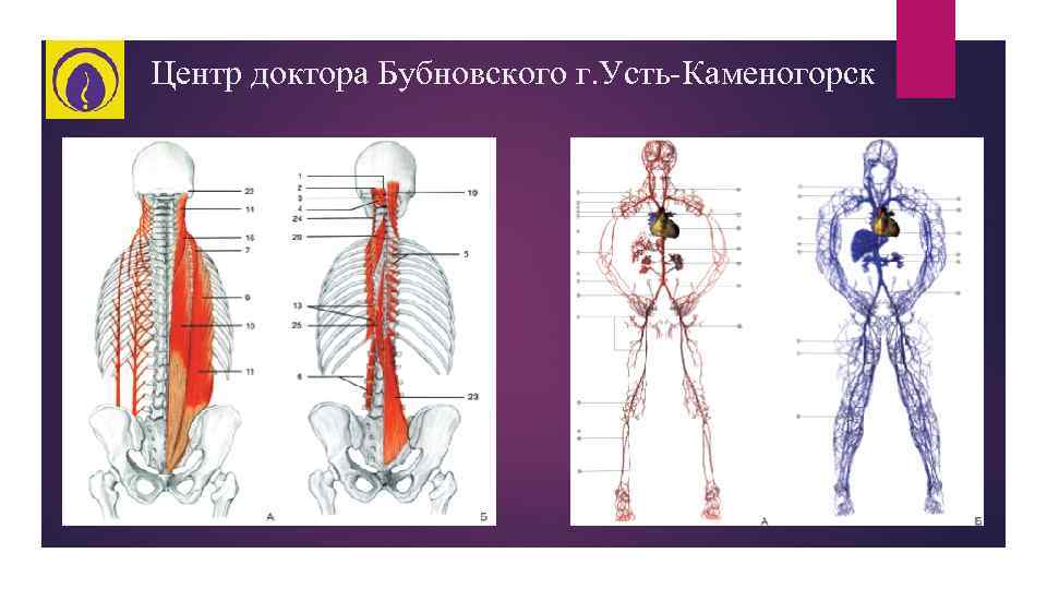 Центр доктора Бубновского г. Усть-Каменогорск 