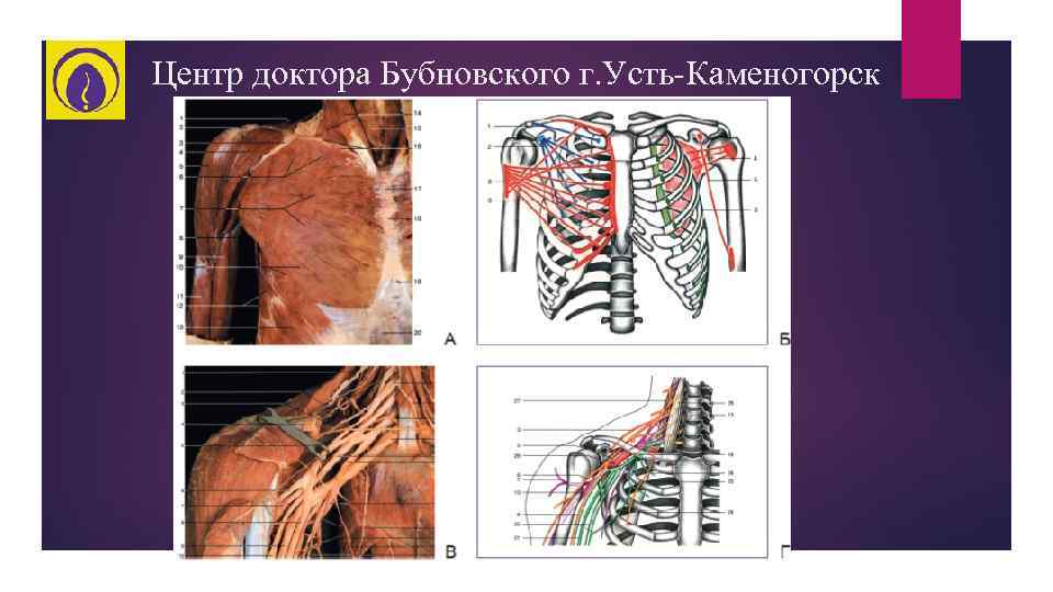 Центр доктора Бубновского г. Усть-Каменогорск 