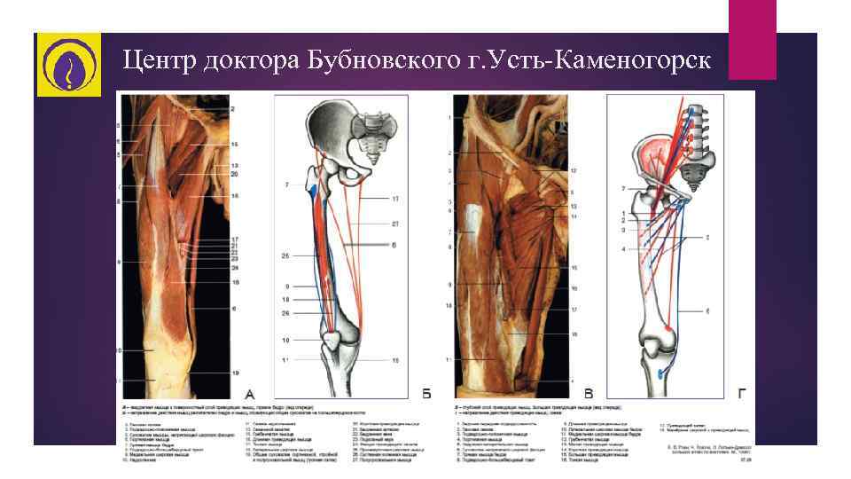 Центр доктора Бубновского г. Усть-Каменогорск 