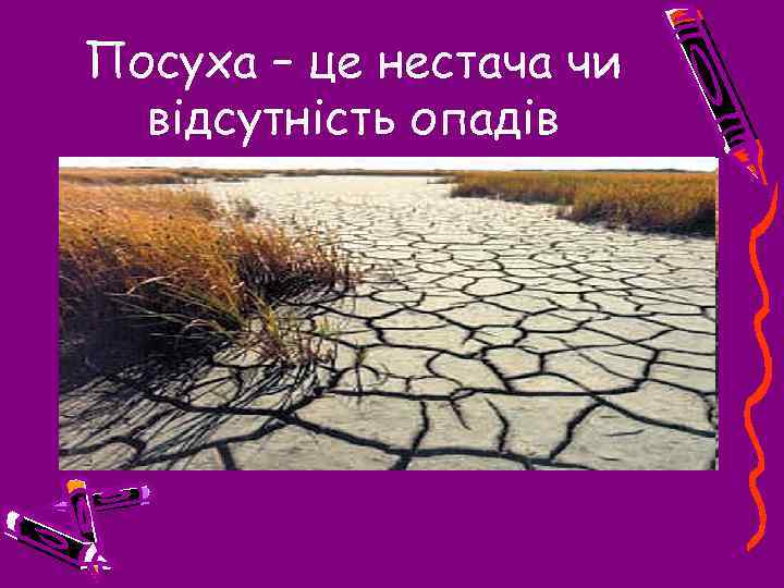 Посуха – це нестача чи відсутність опадів 