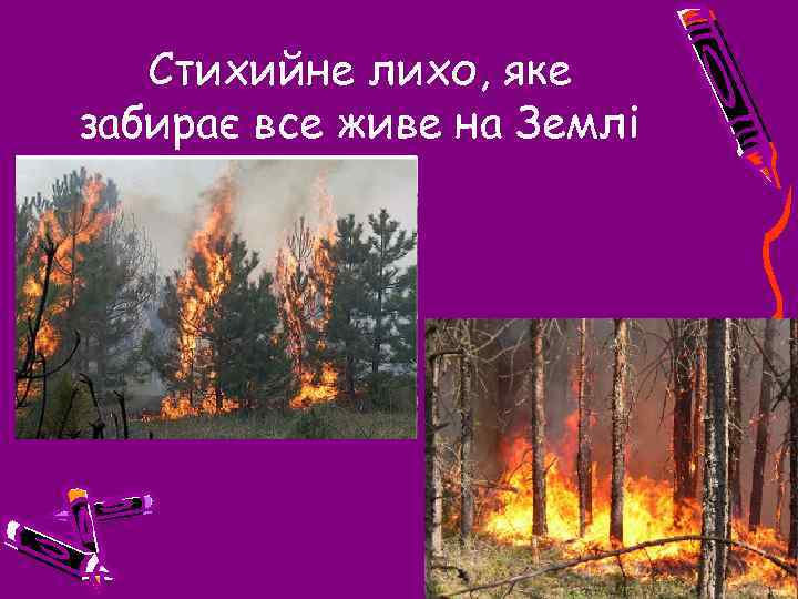 Стихийне лихо, яке забирає все живе на Землі 