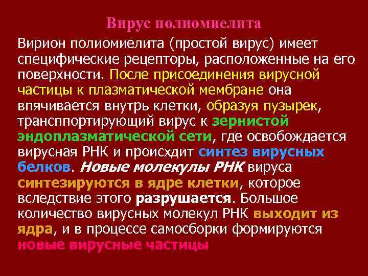 Вирус полиомиелита Вирион полиомиелита (простой вирус) имеет специфические рецепторы, расположенные на его поверхности. После