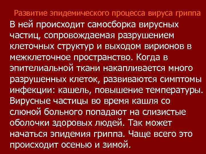 Развитие эпидемического процесса вируса гриппа В ней происходит самосборка вирусных частиц, сопровождаемая разрушением клеточных