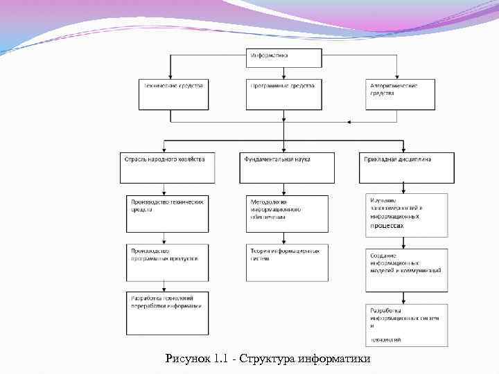 Рисунок 1. 1 - Структура информатики 