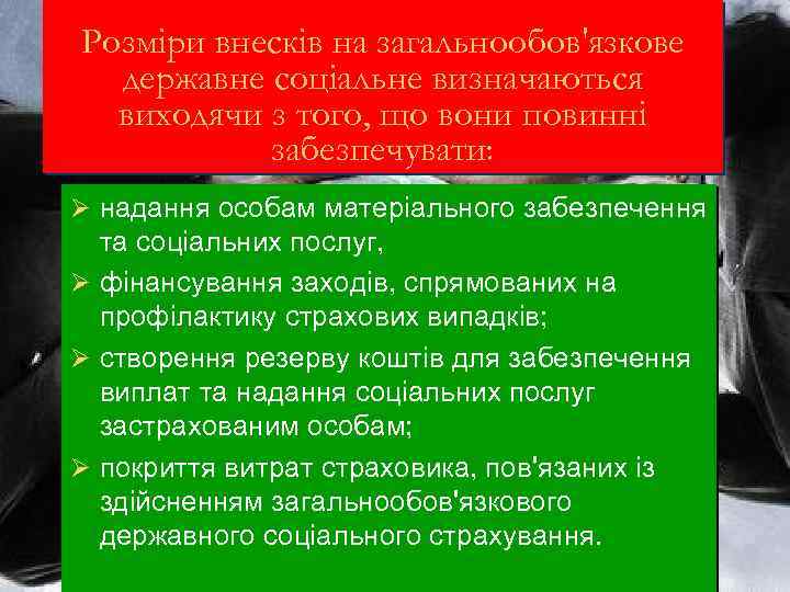 Розміри внесків на загальнообов'язкове державне соціальне визначаються виходячи з того, що вони повинні забезпечувати: