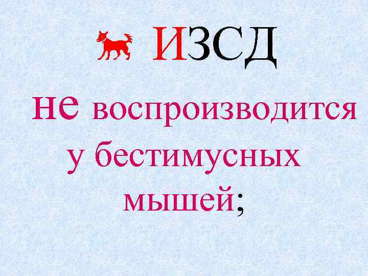  ИЗСД не воспроизводится у бестимусных мышей; 