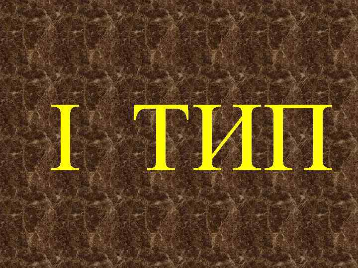  I ТИП 