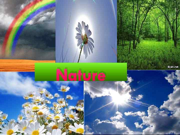 Nature 