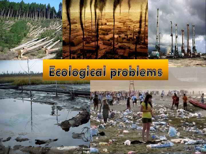 Ecological problems 