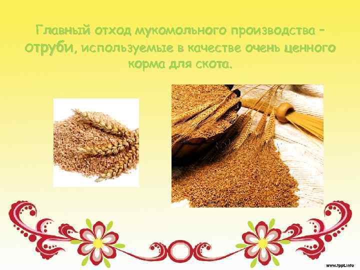 Главный отход мукомольного производства – отруби, используемые в качестве очень ценного корма для скота.