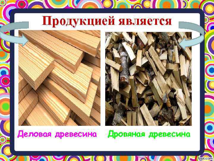 Деловая древесина что это. Деловая древесина это. Виды деловой древесины. Неделовая древесина. Деловая и дровяная древесина это.