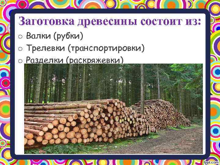 Технология заготовки древесины