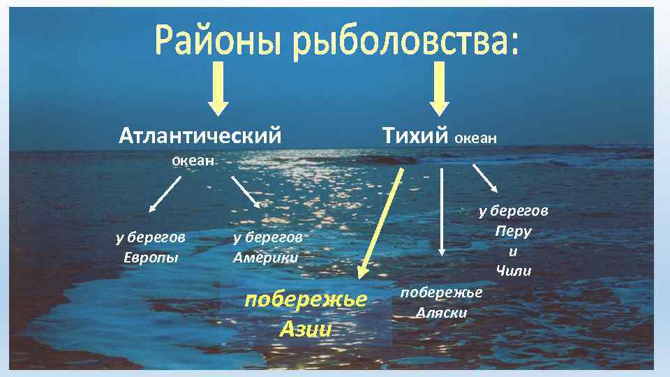 Атлантический океан у берегов Европы у берегов Америки побережье Азии Тихий океан у берегов