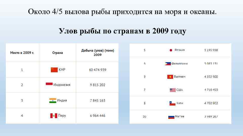 Около 4/5 вылова рыбы приходится на моря и океаны. Улов рыбы по странам в