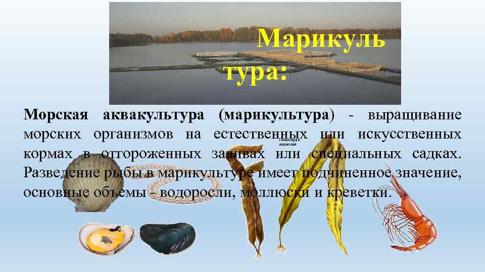 Марикуль тура: Морская аквакультура (марикультура) - выращивание морских организмов на естественных или искусственных кормах