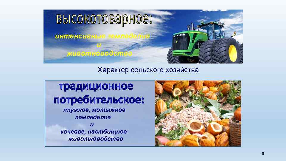 интенсивные земледелие и животноводство Характер сельского хозяйства плужное, мотыжное земледелие и кочевое, пастбищное животноводство