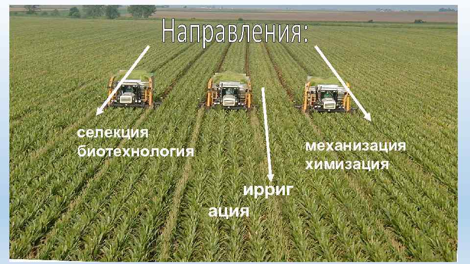 селекция биотехнология механизация химизация ирриг ация 