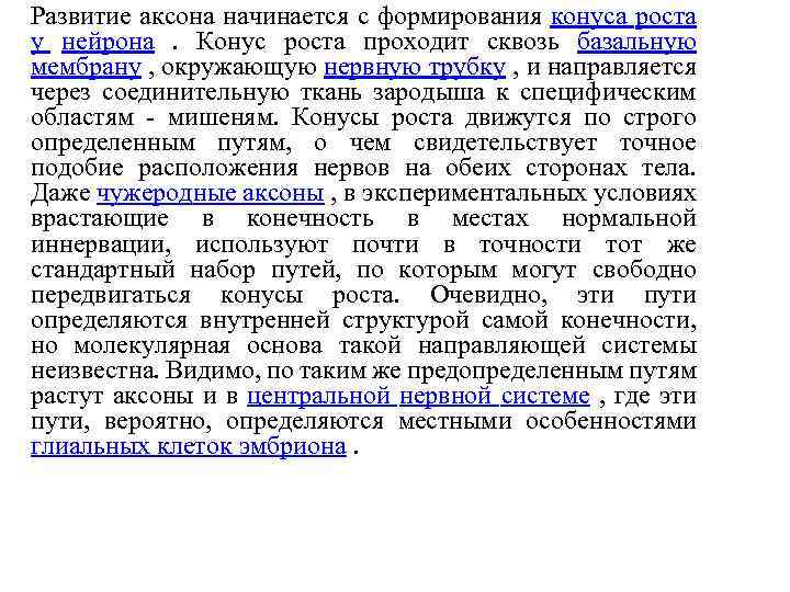Развитие аксона начинается с формирования конуса роста у нейрона . Конус роста проходит сквозь