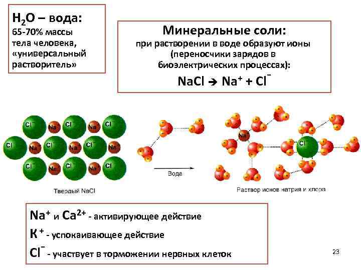 Н 2 О – вода: 65 -70% массы тела человека, «универсальный растворитель» Минеральные соли: