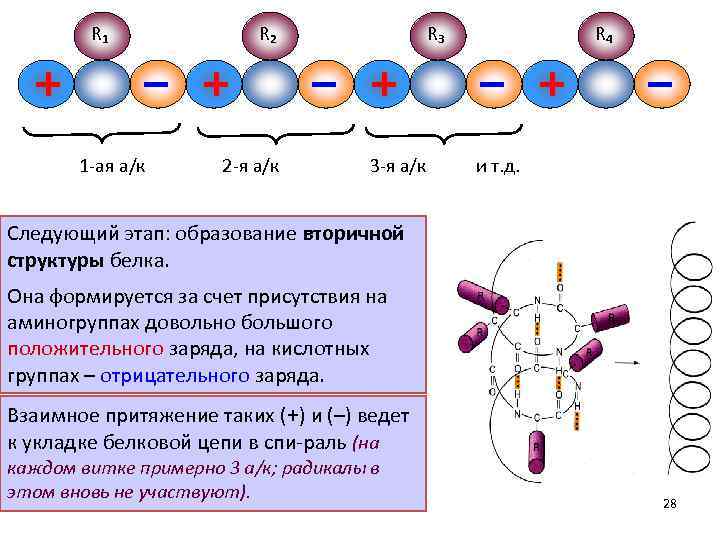 R 1 1 ая а/к R 2 2 я а/к R 3 3 я