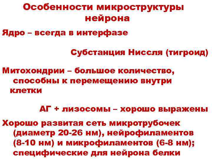 Особенности микроструктуры нейрона Ядро – всегда в интерфазе Субстанция Ниссля (тигроид) Митохондрии – большое