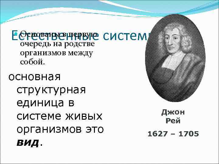  Основаны в первую Естественные системы очередь на родстве организмов между собой. основная структурная