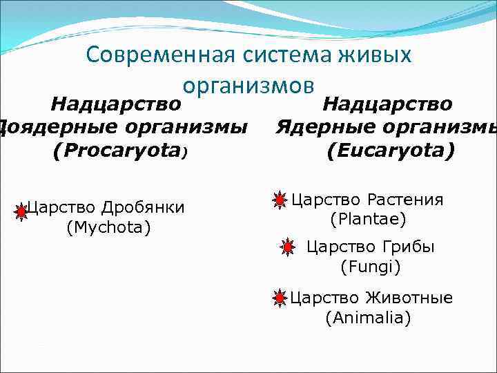 Современная система живых организмов Надцарство Доядерные организмы (Procaryota) Царство Дробянки (Mychota) Надцарство Ядерные организмы