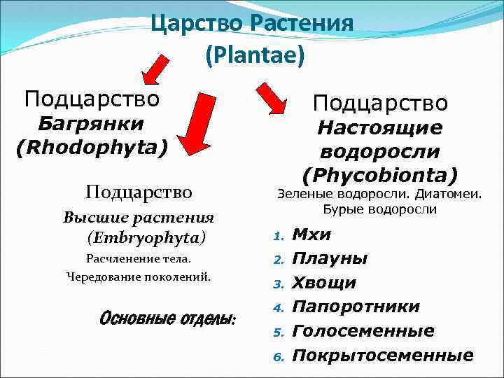 Царство Растения (Plantae) Подцарство Багрянки (Rhodophyta) Подцарство Высшие растения (Embryophyta) Расчленение тела. Чередование поколений.