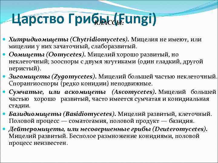 Царство Грибы (Fungi) КЛАССЫ: Хитридиомицеты (Chytridiomycetes). Мицелия не имеют, или мицелии у них зачаточный,